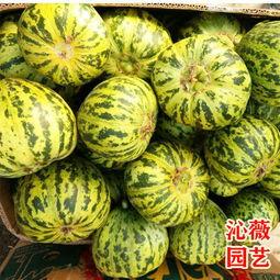 甜瓜最新大爆料视频 第2张 甜瓜最新大爆料视频 第2张